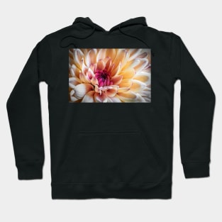 Chrysanthemum Close-up Hoodie